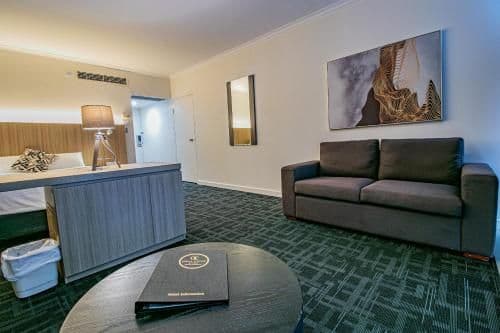 Deluxe Single Room - Ocean Side