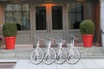 Ames Boston Curio Collection by Hilton Ames Boston Curio Collection by Hilton