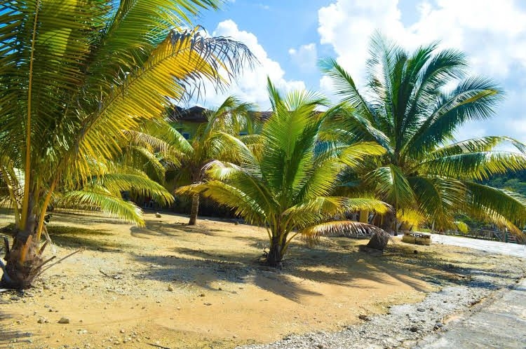 Le Mer Guest House and Villa Lucea0