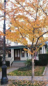 Loralei Bed and Breakfast0