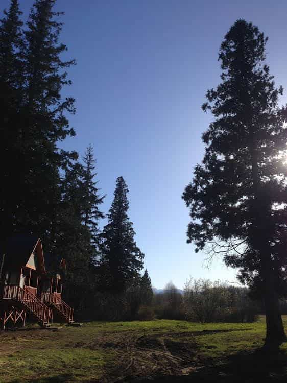 Hidden Acres Farm and Treehouse Resort