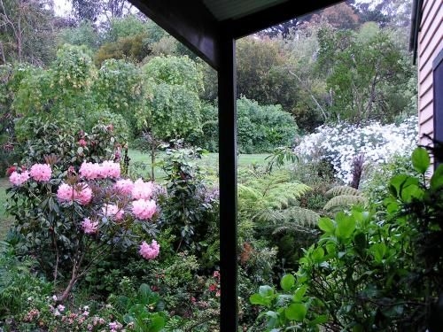 Lemonade Creek Cottages4