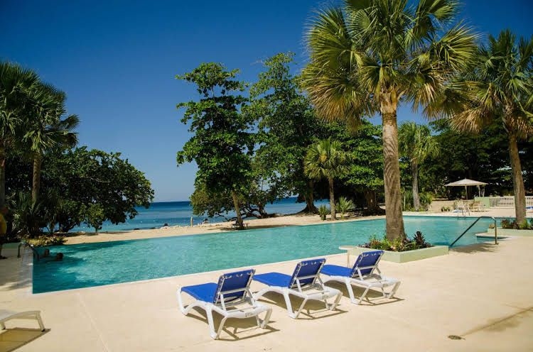 Seas the Day Sanctuary0