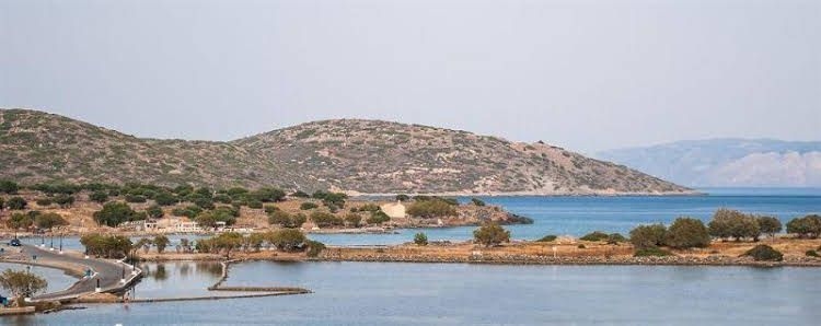 Elounda Olive Garden Apartments and Studios0