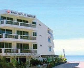 The Orchid The Orchid