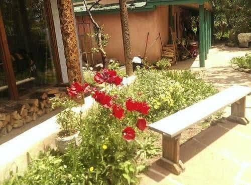 Royal Bear Lodge and Casita Royal Bear Lodge and Casita