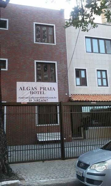 Algas Praia4