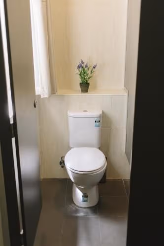 Bed in 4-Bed Mixed Dormitory Room with Private Bathroom