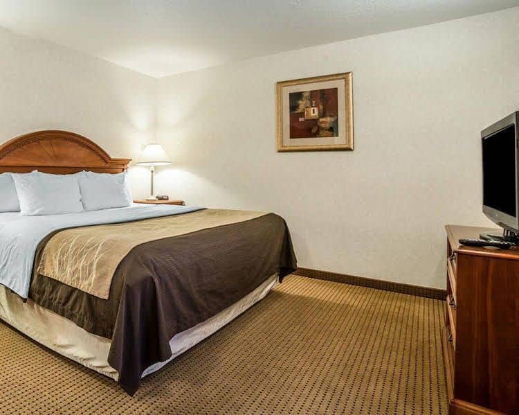Quality Inn and Suites University Quality Inn and Suites University