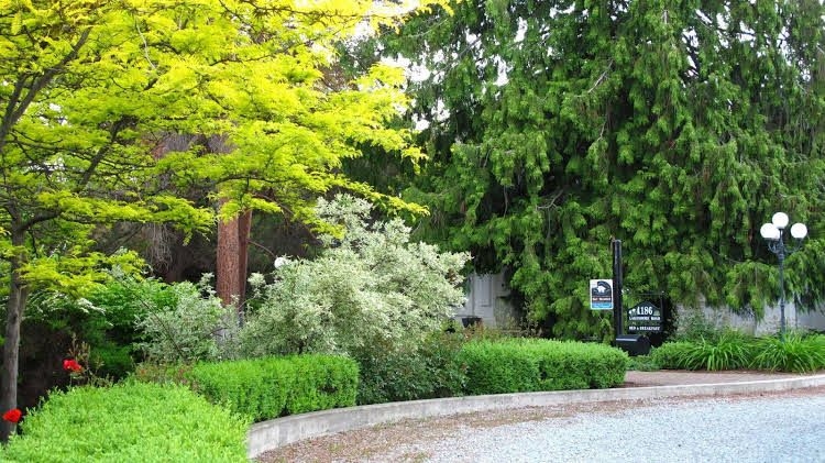 Lakeshore Bed and Breakfast0