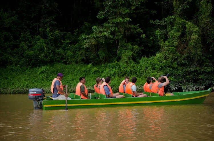 Kinabatangan Jungle Camp Kinabatangan Jungle Camp