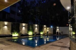The Zehneria Portico The Zehneria Portico