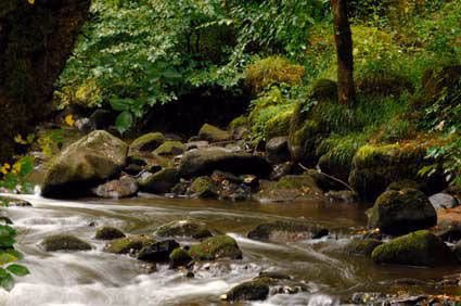 Moulin des Ruats0
