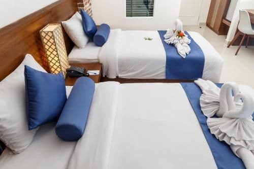 Deluxe Double or Twin Room