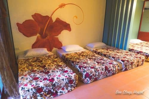Single Bed in Female Dormitory Room