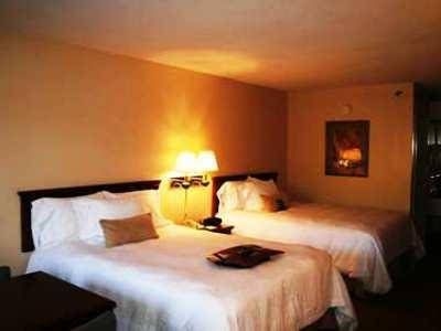 Byamont Inn and Suites McDonough0