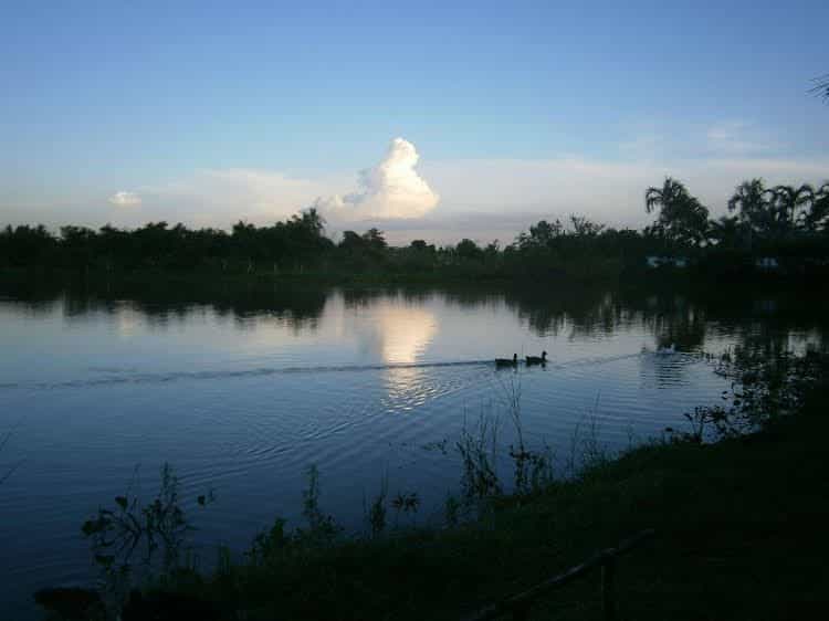 Freddies Fishing Park Freddies Fishing Park