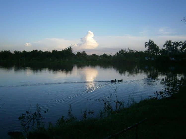 Freddies Fishing Park Freddies Fishing Park