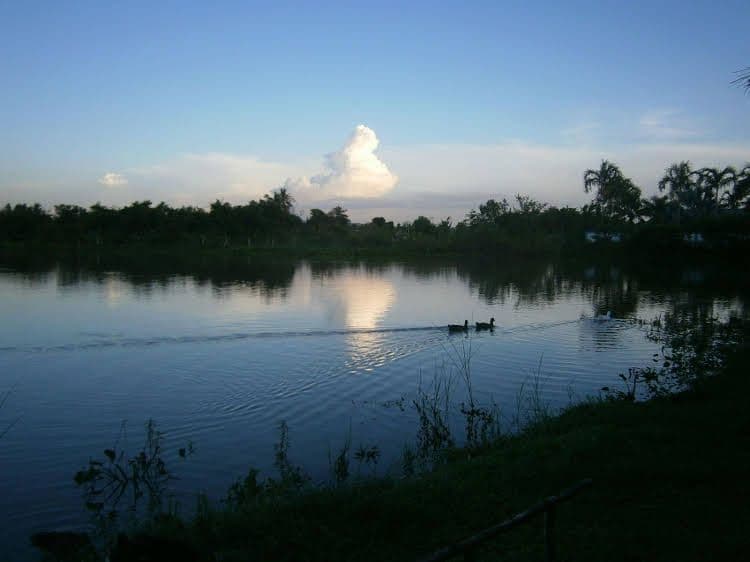 Freddies Fishing Park Freddies Fishing Park
