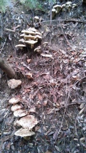 Nouka Minpaku Mirainouen4