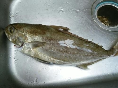 Nouka Minpaku Mirainouen2