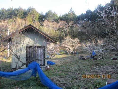 Nouka Minpaku Mirainouen1