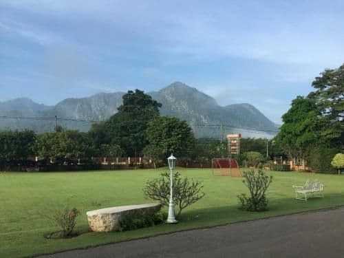 King Room with Mountain View