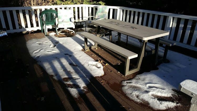 Big Bear Lakeview3