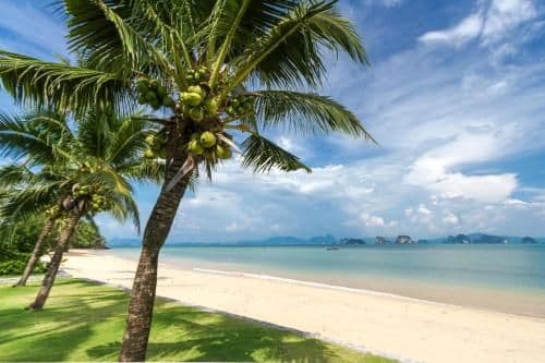 Villa - Beach Front