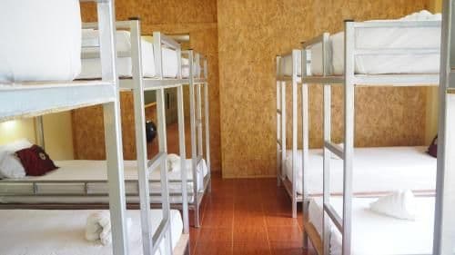 Bunk Bed in Mixed Dormitory Room