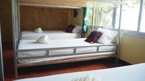 Bed in 6-Bed Female Dormitory Room