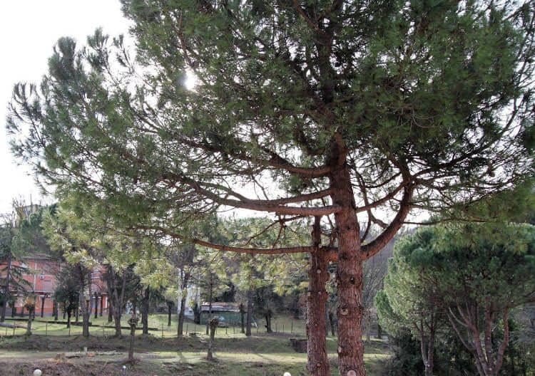 Appartamento al Valico della Foce Appartamento al Valico della Foce