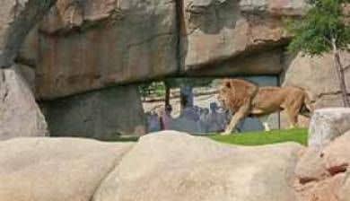 Bioparc Valencia Bioparc Valencia