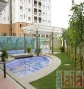 Corporate Suites Inc Corporate Suites Inc