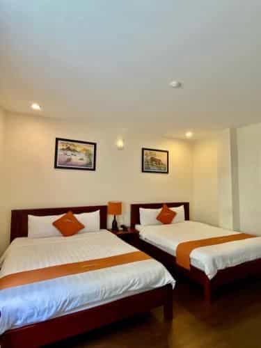 Golden Star Hotel Golden Star Hotel