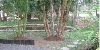 Hlolwa Lodge0