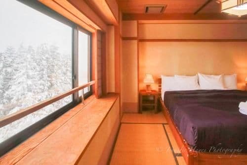Double or Twin Room with Tatami Area