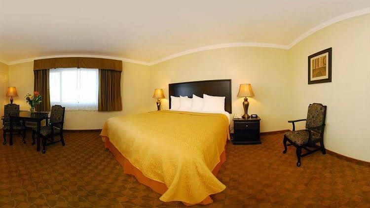 Hollies and Suites0