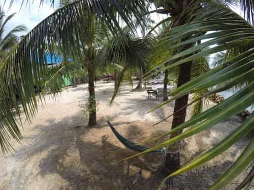 Ban Mae Resort Ban Mae Resort