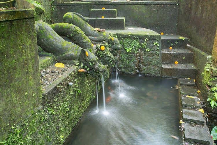 Bucu Beji Ubud Bucu Beji Ubud