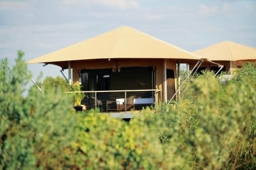 Garden View Eco Tent