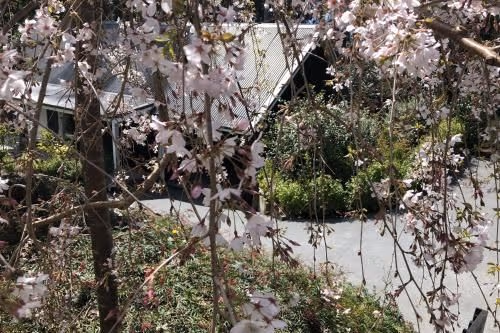 Birdsong Retreat