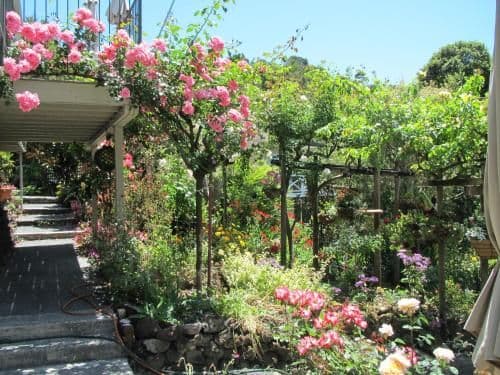 Garden Suite