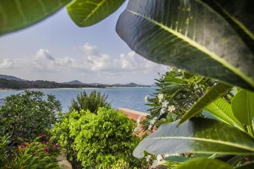 บูชิส บูทิก รีสอร์ต (Boujis Boutique Resort)4