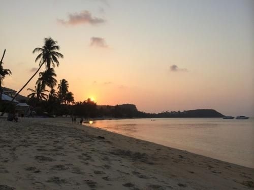 The Boardroom Beach Bungalows2