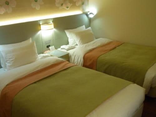 Standard Twin Room - Non-Smoking