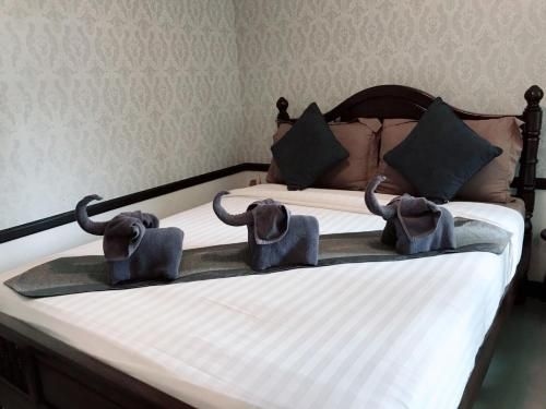 ณ มามีมา (Namamema Colonial Boutique House)0