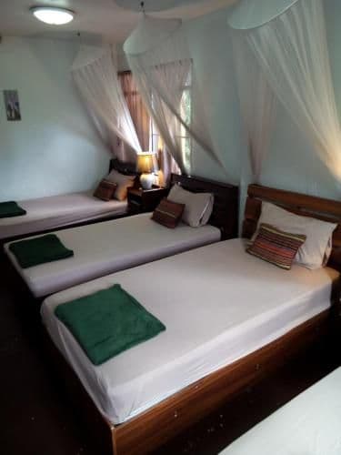 Bunk Bed in Mixed Dormitory Room