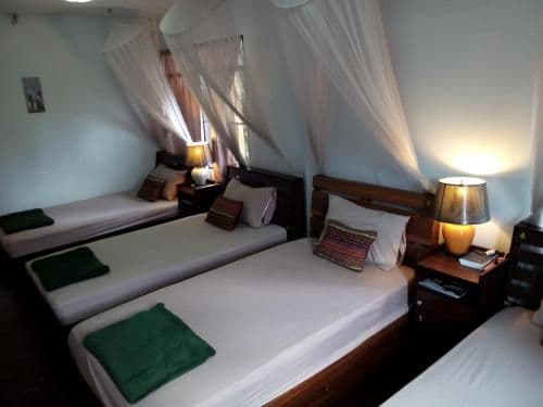 Bunk Bed in Mixed Dormitory Room