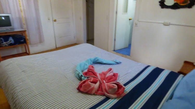 The Grasshopper Hostel0